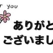 なるせ なるせ（clubさくら日本橋店） club さくら日本橋店