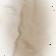 ヒメ日記 2026/01/24 16:55 投稿 本城【ほんじょう】 丸妻 西船橋店