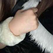 ヒメ日記 2025/12/21 13:35 投稿 れい ミルキーパイ