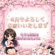 ヒメ日記 2026/04/01 23:00 投稿 ひなみ セグレターリオ