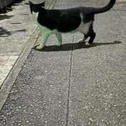 いとエロすぎるボディー off day 俺のジュニア