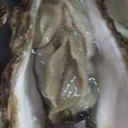 ヒメ日記 2025/12/29 02:56 投稿 いとエロすぎるボディー 俺のジュニア