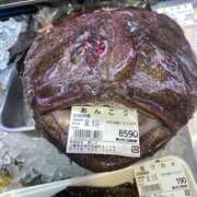 ヒメ日記 2026/02/11 06:51 投稿 いとエロすぎるボディー 俺のジュニア