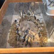 ヒメ日記 2026/02/23 06:26 投稿 いとエロすぎるボディー 俺のジュニア