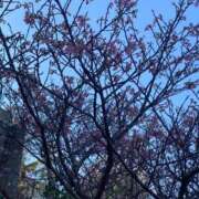 いとエロすぎるボディー きたー 俺のジュニア