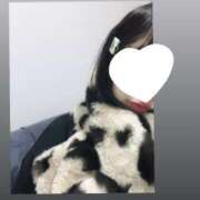 ヒメ日記 2025/12/07 14:37 投稿 ほのか 栃木小山ちゃんこ