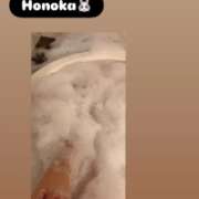 ヒメ日記 2025/12/24 14:34 投稿 ほのか 栃木小山ちゃんこ