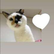 ヒメ日記 2026/01/22 22:06 投稿 ほのか 栃木小山ちゃんこ