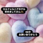 ヒメ日記 2026/02/04 12:38 投稿 ほのか 栃木小山ちゃんこ