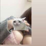 ヒメ日記 2026/03/15 11:00 投稿 ほのか 栃木小山ちゃんこ