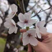 ヒメ日記 2026/04/05 21:22 投稿 さつき 美熟女倶楽部Hip's 春日部店