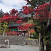 ヒメ日記 2025/11/20 10:11 投稿 やん 熟女の風俗最終章 宇都宮店