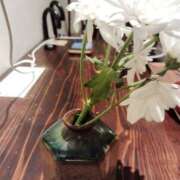 ヒメ日記 2025/11/22 10:41 投稿 やん 熟女の風俗最終章 宇都宮店