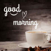 やん おはようございます 熟女の風俗最終章 宇都宮店