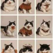 ヒメ日記 2025/11/25 20:42 投稿 宮咲みらい すべりん棒シャンプー娘。（横浜ハレ系）