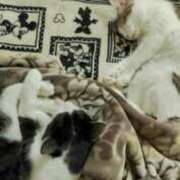 ヒメ日記 2025/12/11 21:12 投稿 宮咲みらい すべりん棒シャンプー娘。（横浜ハレ系）