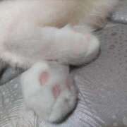 ヒメ日記 2026/01/20 07:29 投稿 宮咲みらい すべりん棒シャンプー娘。（横浜ハレ系）