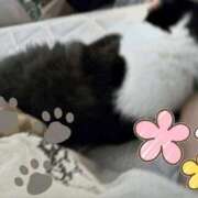 ヒメ日記 2026/03/08 13:04 投稿 宮咲みらい すべりん棒シャンプー娘。（横浜ハレ系）