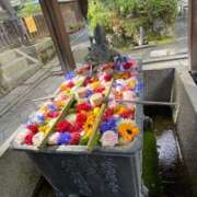 ヒメ日記 2025/11/25 23:46 投稿 あや 熟女総本店 日本橋ミナミエリア店