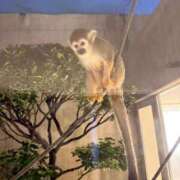 ヒメ日記 2025/12/08 22:46 投稿 あや 熟女総本店 日本橋ミナミエリア店