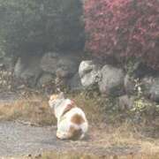 ヒメ日記 2025/11/25 14:21 投稿 リリ LOVE(小名浜)