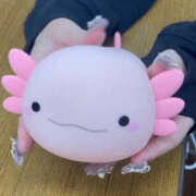 ヒメ日記 2025/11/26 16:22 投稿 リリ LOVE(小名浜)