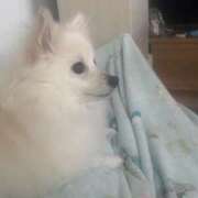 ヒメ日記 2026/01/05 08:29 投稿 リリ LOVE(小名浜)