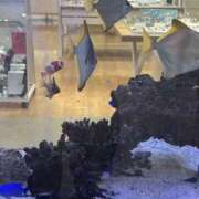 ヒメ日記 2026/01/10 17:36 投稿 リリ LOVE(小名浜)