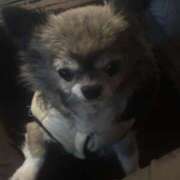 ヒメ日記 2026/02/12 13:49 投稿 リリ LOVE(小名浜)