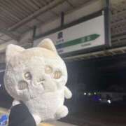 ヒメ日記 2026/02/12 21:00 投稿 リリ LOVE(小名浜)