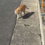 ヒメ日記 2026/02/22 13:24 投稿 リリ LOVE(小名浜)