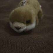 ヒメ日記 2026/02/23 17:53 投稿 リリ LOVE(小名浜)