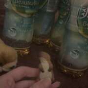 ヒメ日記 2026/02/23 23:40 投稿 リリ LOVE(小名浜)