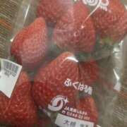 ヒメ日記 2026/03/10 13:41 投稿 リリ LOVE(小名浜)