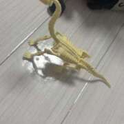 ヒメ日記 2026/03/21 13:14 投稿 リリ LOVE(小名浜)