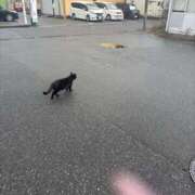 ヒメ日記 2026/04/07 16:05 投稿 リリ LOVE(小名浜)