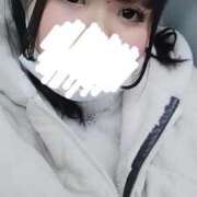 ヒメ日記 2025/11/26 01:54 投稿 モカ ちゃんこ本厚木店