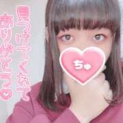 ヒメ日記 2025/11/26 12:45 投稿 モカ ちゃんこ本厚木店