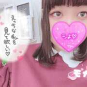 ヒメ日記 2025/11/28 20:41 投稿 モカ ちゃんこ本厚木店