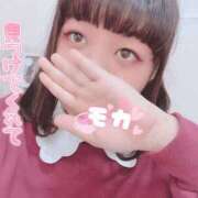 モカ サクッと元気、サラッと色気💕 ちゃんこ本厚木店