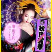 ヒメ日記 2025/11/20 18:15 投稿 秋月麗華 プレジデントハウス