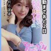 ヒメ日記 2025/11/23 09:16 投稿 秋月麗華 プレジデントハウス