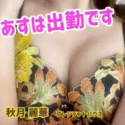 ヒメ日記 2025/11/29 12:05 投稿 秋月麗華 プレジデントハウス