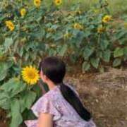 ヒメ日記 2025/11/21 06:30 投稿 かよ 白いぽっちゃりさん五反田店