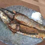 ヒメ日記 2025/11/24 18:49 投稿 かよ 白いぽっちゃりさん五反田店