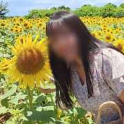 ヒメ日記 2025/11/25 06:05 投稿 かよ 白いぽっちゃりさん五反田店