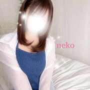 ヒメ日記 2025/11/26 14:04 投稿 ねこ ごほうびSPA神戸店