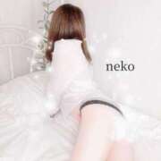 ヒメ日記 2025/11/29 17:24 投稿 ねこ ごほうびSPA神戸店