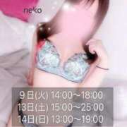 ヒメ日記 2025/12/08 18:44 投稿 ねこ ごほうびSPA神戸店