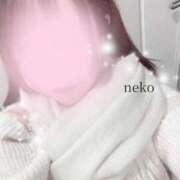 ヒメ日記 2025/12/12 12:04 投稿 ねこ ごほうびSPA神戸店